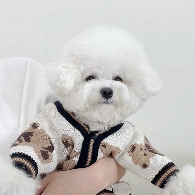 dog coats for winter